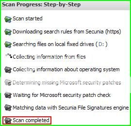 Secunia_StepbyStep.jpg