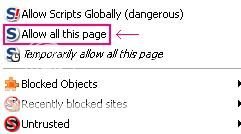 NoScript_allow2.jpg