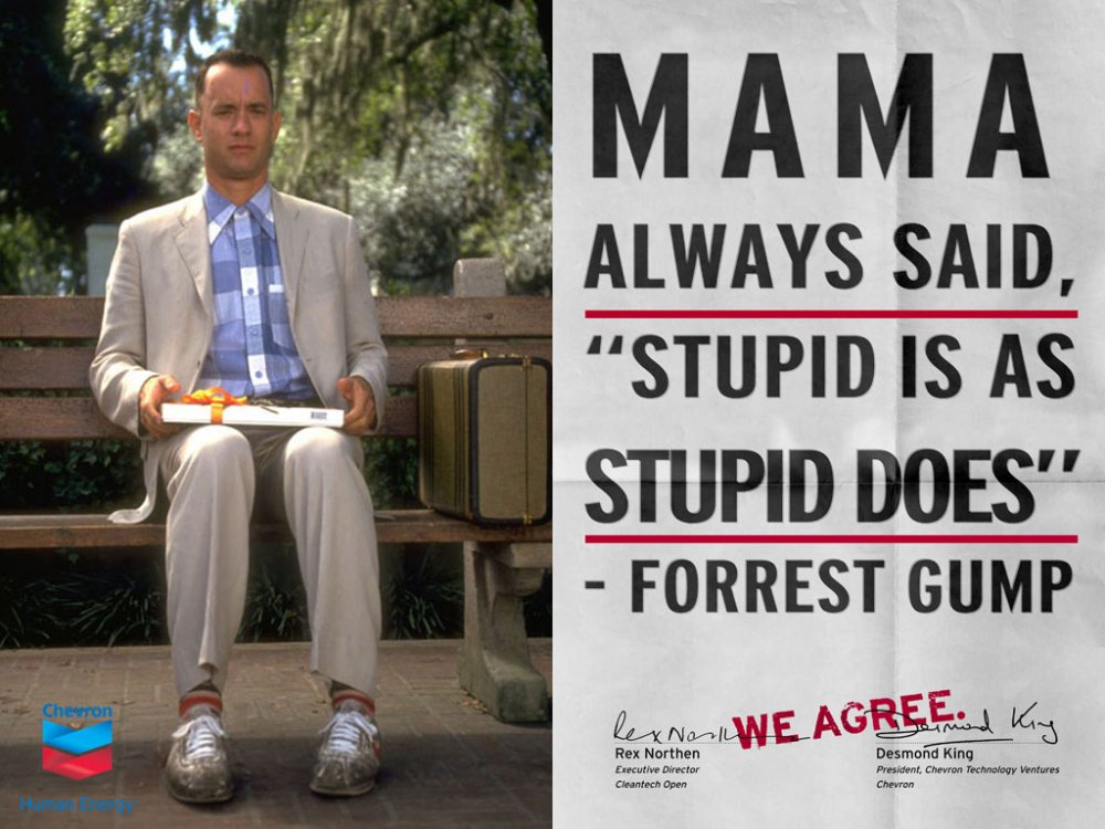 forest-gump-stupid.jpg