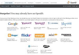 18-openid-300.jpg