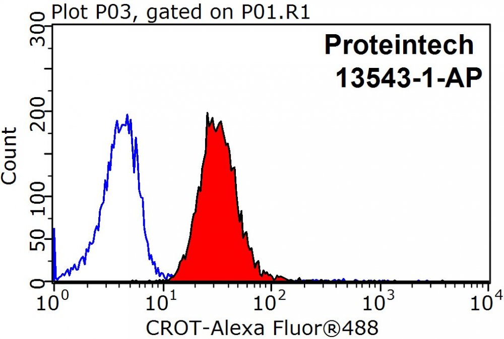 CROT-Antibody-13543-1-AP-FC-37599.jpg