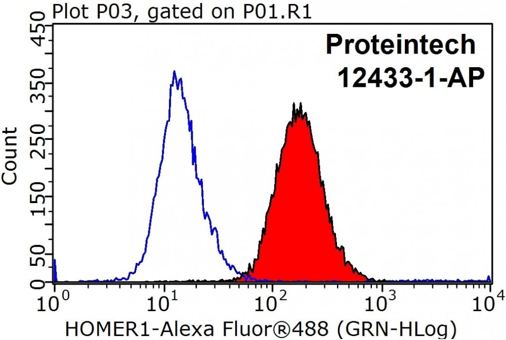 HOMER1-Antibody-12433-1-AP-FC-27289.jpg