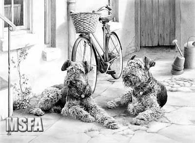 Imagem Postada