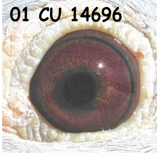 h01%2014696e.jpg