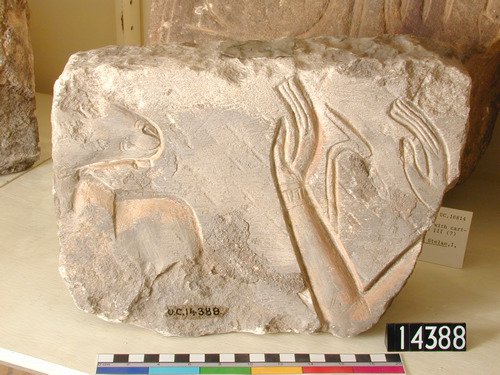 uc14388_2.jpg