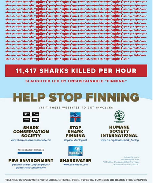 shark-info-graph-bottom.png