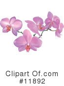 royalty-free-flowers-clipart-illustratio
