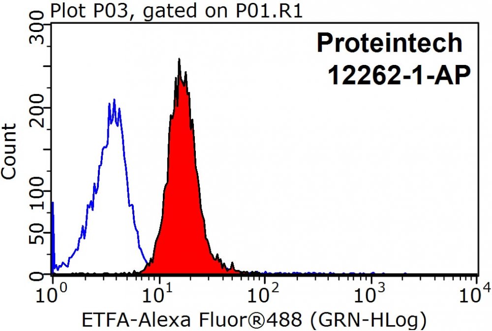 ETFA-Antibody-12262-1-AP-FC-38024.jpg