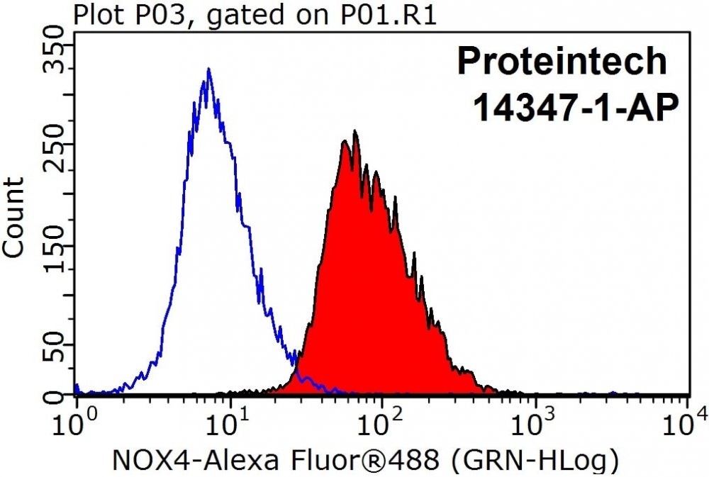 NOX4-Antibody-14347-1-AP-FC-27361.jpg