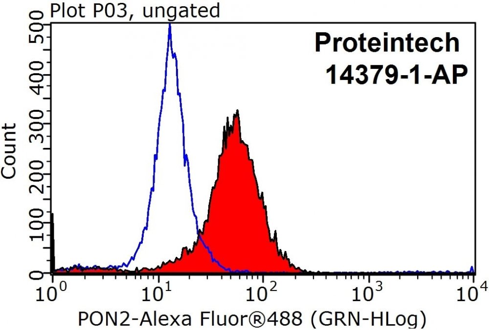 PON2-Antibody-14379-1-AP-FC-26468.jpg