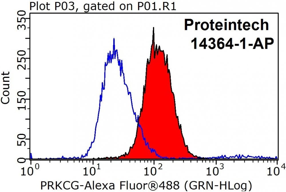 PRKCG-Antibody-14364-1-AP-FC-27358.jpg