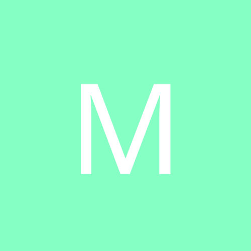 michel Z/L